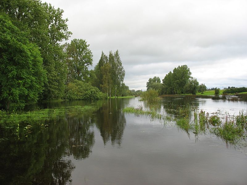 Suvine suurvesi Pedja jõe luhal 18. augustil