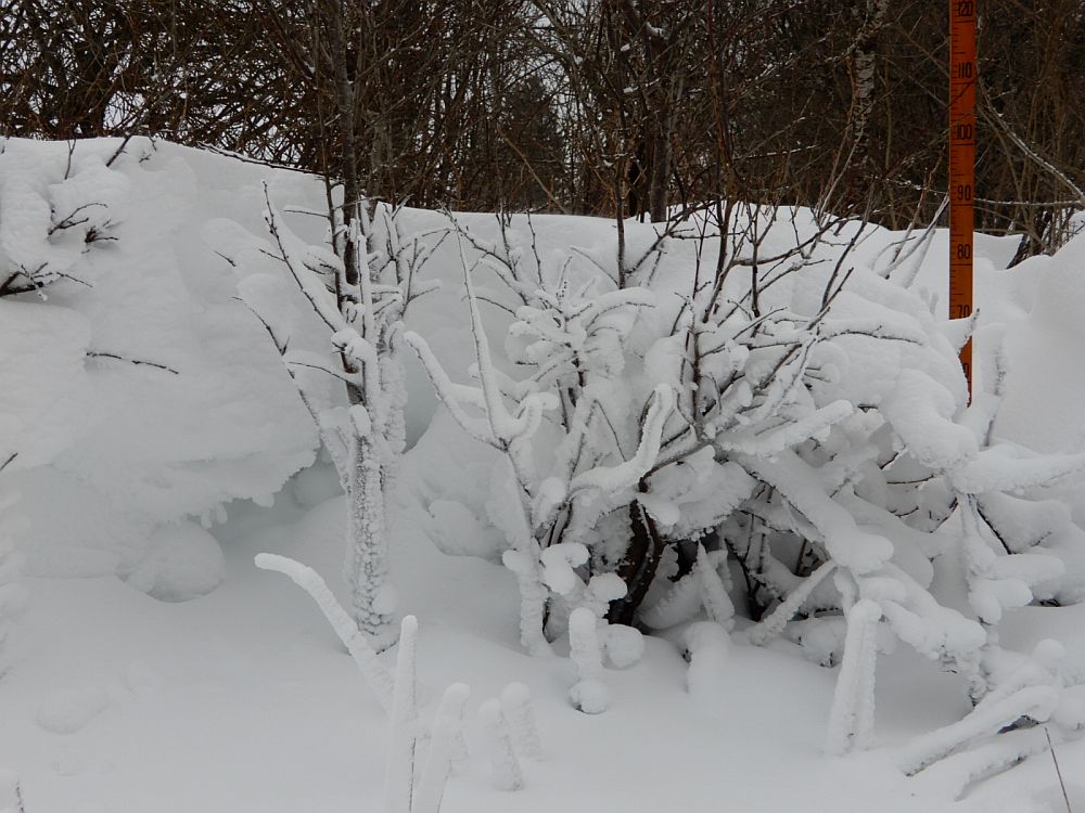 Lumikate on pärast tuisku ebaühtlase paksusega, hanged ulatusid ühe meetri lähedale