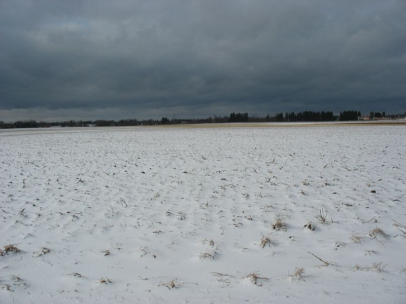 Kolmapäeval olid põllud lumest valged