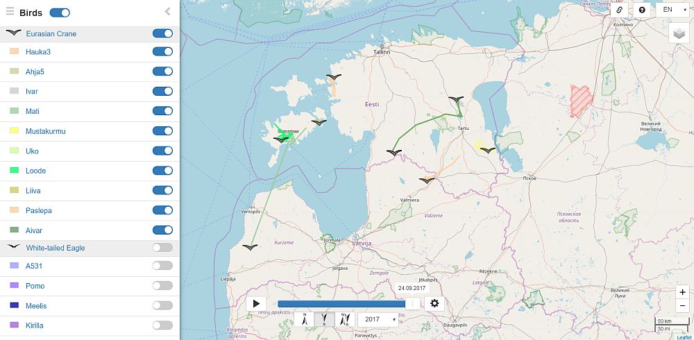 GPS-saatjatega märgistatud sookurgede rännet saab jälgida veebilehel birdmap.5dvision.ee