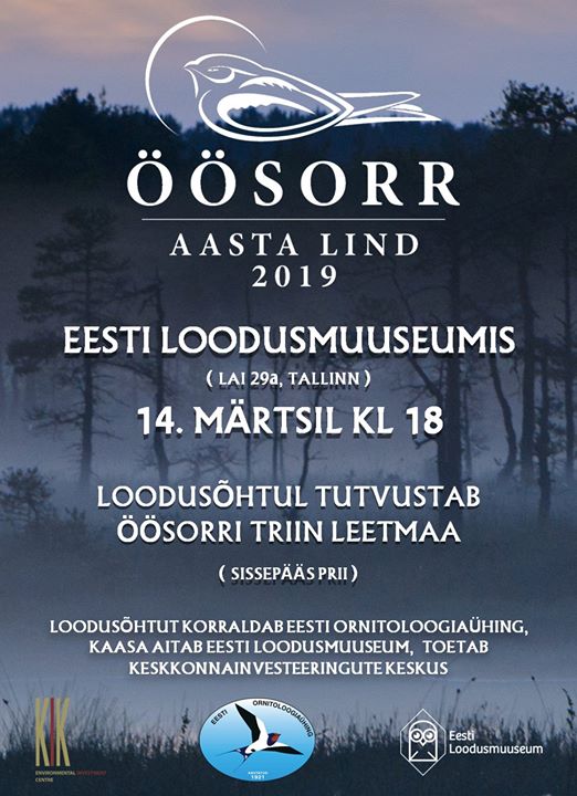 Järjekorras 25. aasta lind öösorr on varjatud eluviisidega lind, kes tegutseb peamiselt pimedas ning jääb sageli salapäraseks