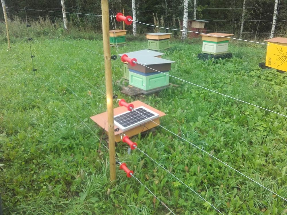 2018. aastal rajatud eeskujulik kiskjakahjude ennetusaed mesila ümber Valgamaal