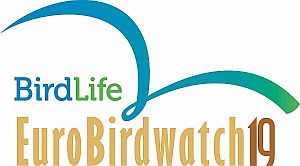 Sel nädalavahetusel, 5. ja 6. oktoobril kutsub Eesti Ornitoloogiaühing loodushuvilisi vaatlema rändlinde ja oma vaatlustest teada andma.