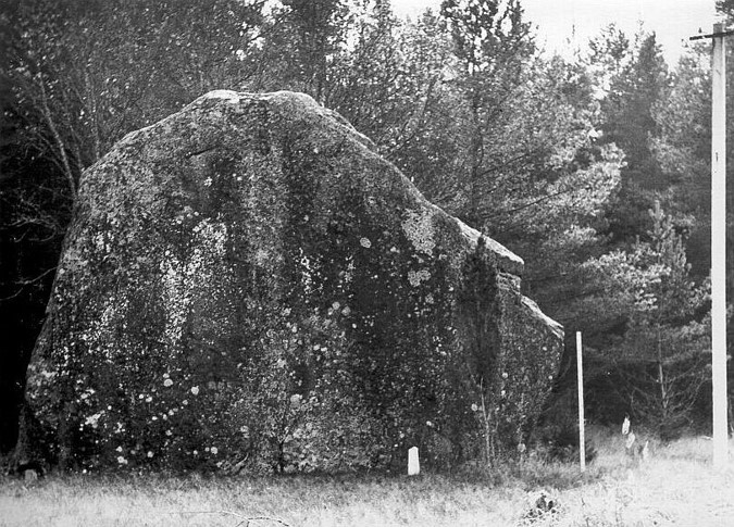 Tammispea rändrahn, vaade kirdest Aegviidu Metsamajandi järelvalvepiirkonna looduskaitseobjektid. Eesti Metsakorrladuskeskus. 1982