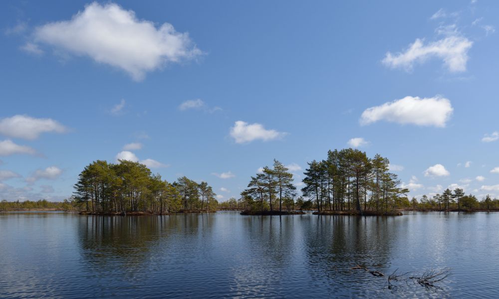 Väike-Loosalu järv