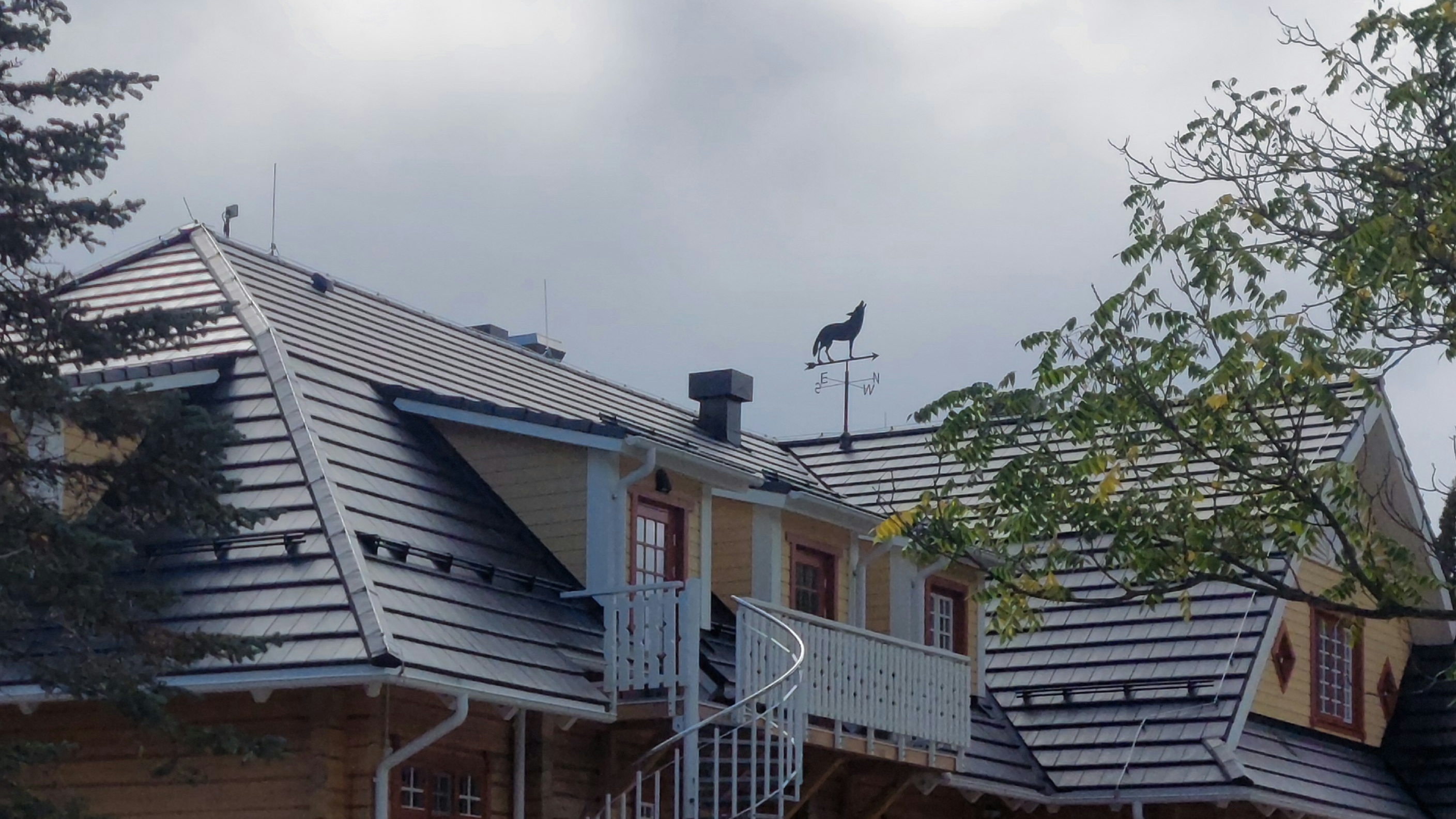  Tänavu suvel 12. juunil avatud Järvselja uue jahilossi ehk Maaülikooli Järvselja õppe-ja katsemetskonna katusel näitab tuule suunda susi. Tuulelipp lisandub Ee