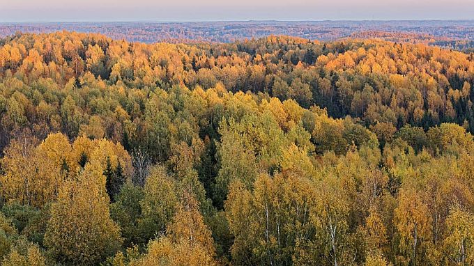 Vaade Harimäe tornist. Otepää kõrgustik 