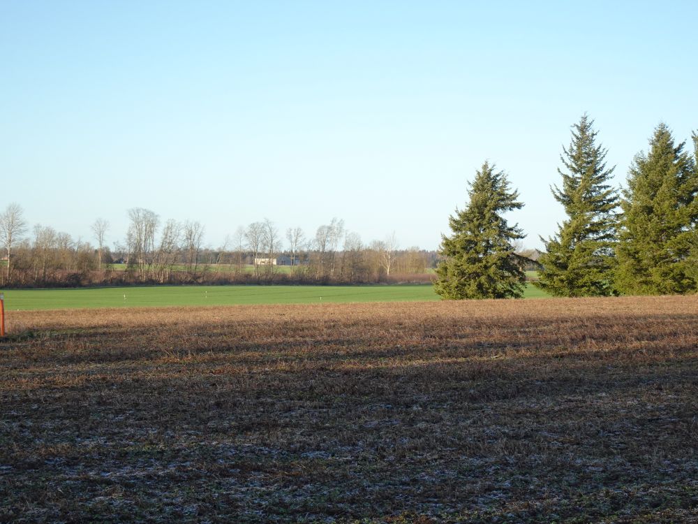Päikese käes oli hall sulanud