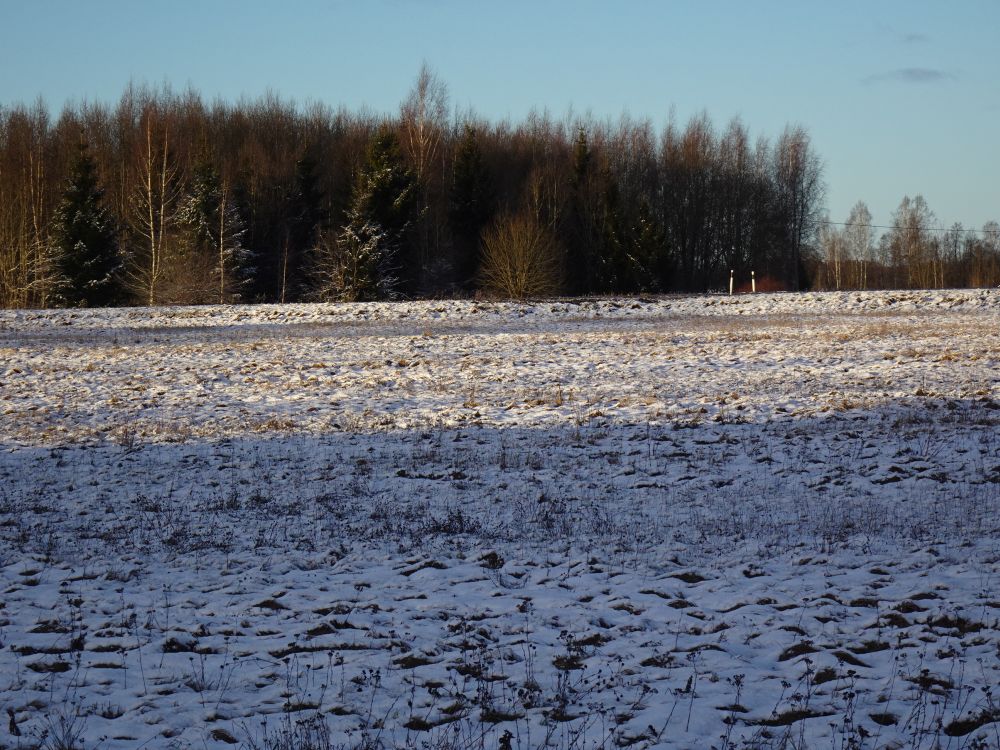Pühapäevane lumikate avamaastikul