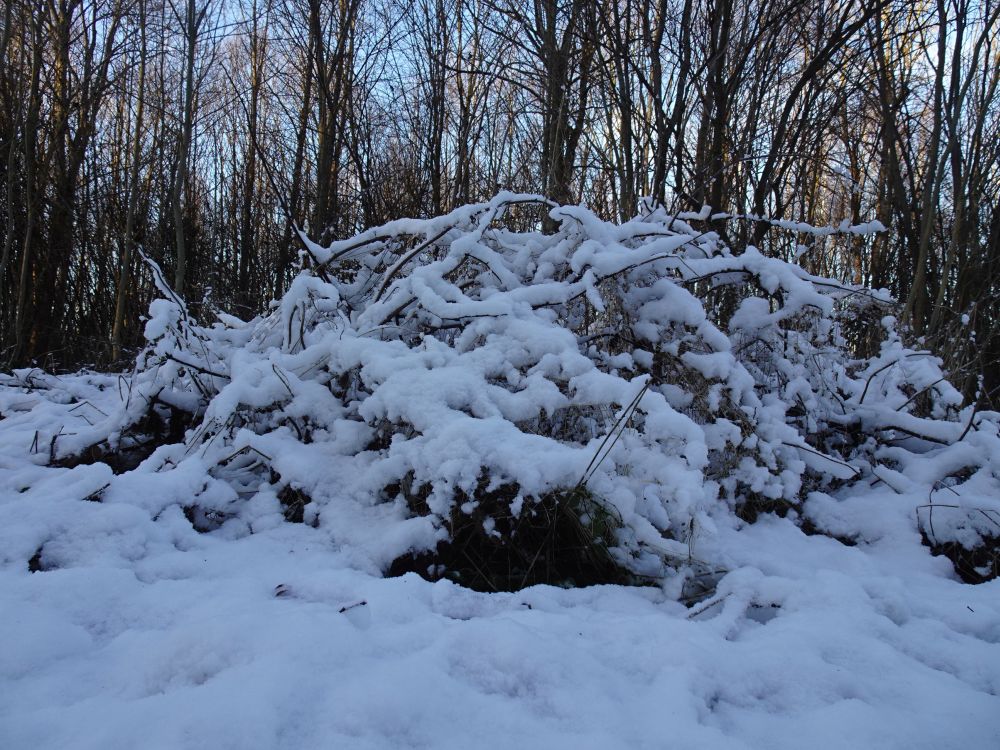 Lund oli kohati kuni viie sentimeetri paksuselt
