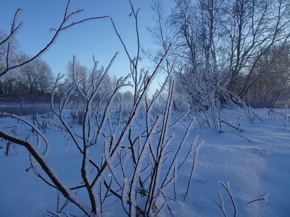 Härmatis jõe lammil