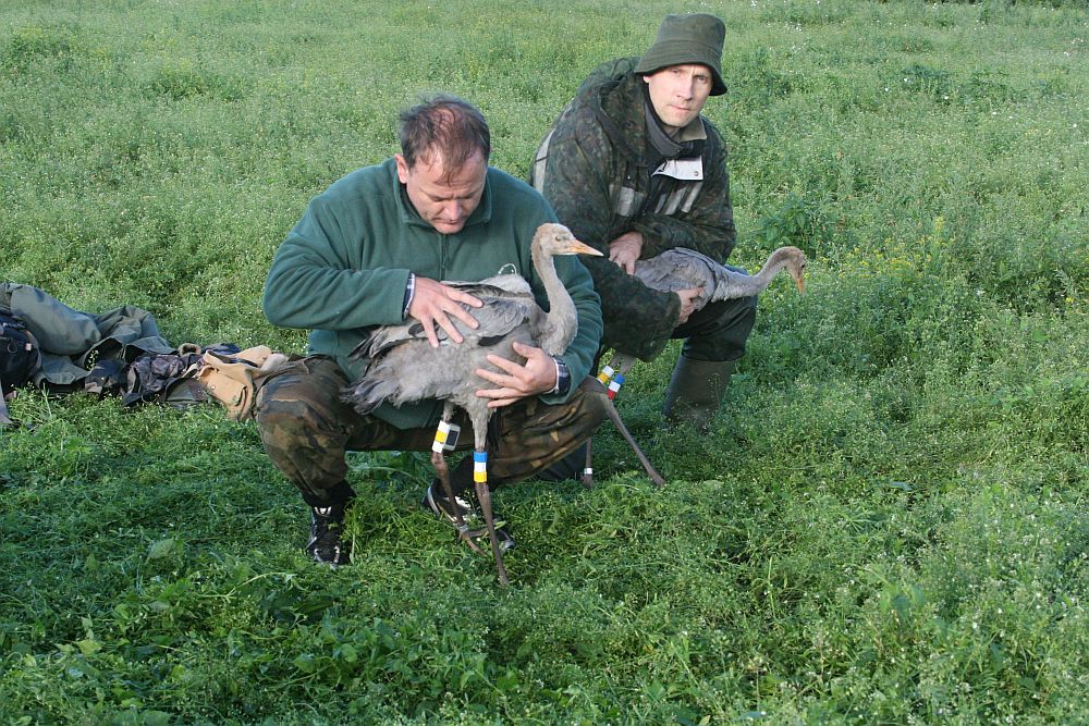 Ivar Ojaste vasakul ja Uko Bleive paremal