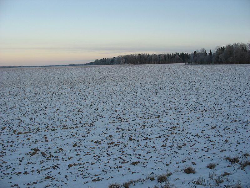 Vähese lumega ja härmas puudega maastik laupäeval