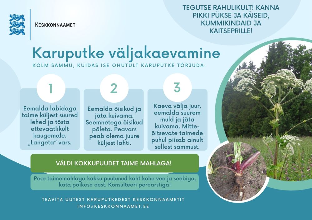 Juhis karuputke välja kaevamiseks