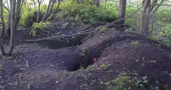 Septembris oli mägrapere tihti kodus ja neid oli võimalus jälgida sageli ka valgel ajal nii hommikul kui õhtul, ainult isasmäger on pereidüllist ikka veel puudu.