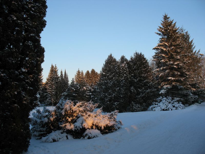 Lumine põhikooli park