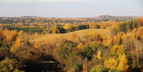 Foto: Martin Suuroja, Wikimedia Commons