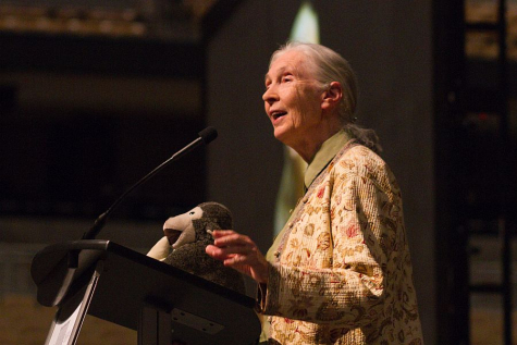 Jane Goodall esinemas Mizzou Arenal.