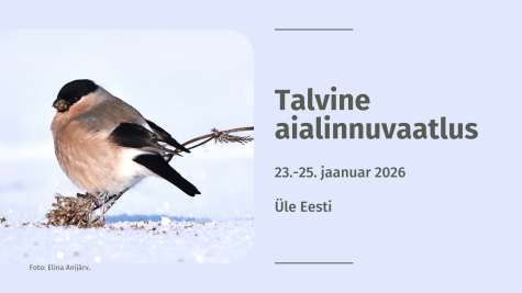 Talvine aialinnuvaatlus