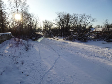 Loomade jäljed Pedja jõe lumisel jääl