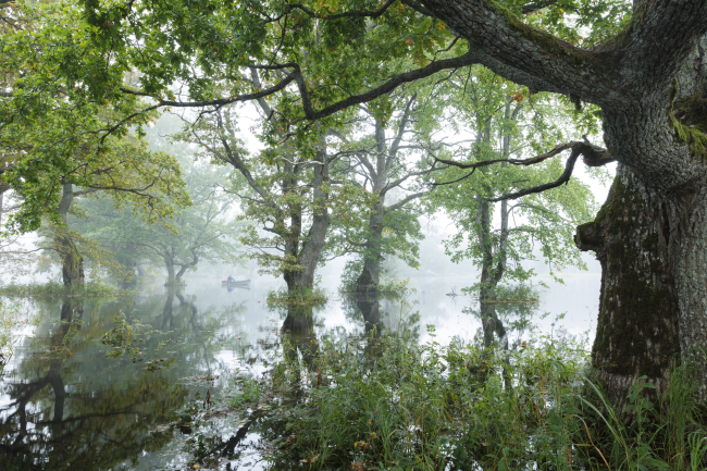 Jarek Jõepera. Kodumaine Amazonas.