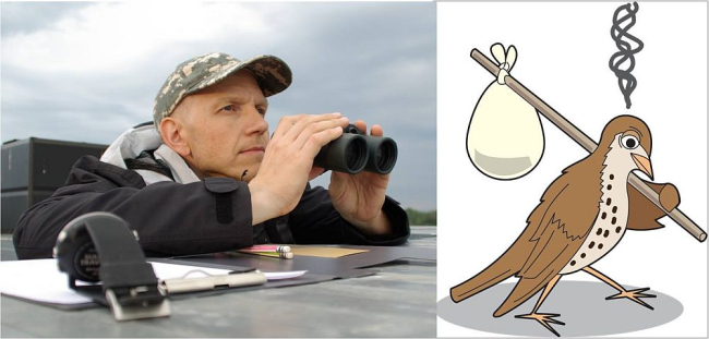 Kolmapäeval, 11. oktoobril peab Tartu ülikooli zooloogia osakonnas linnuökoloogia teadur ja Linnuvaatleja teadusuudiste toimetaja Marko Mägi seminariettekande kliimamuutuste mõjust lindudele.