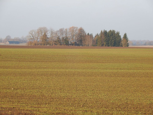 Lehtpuud on raagus ja taliviljade põllud rohelised
