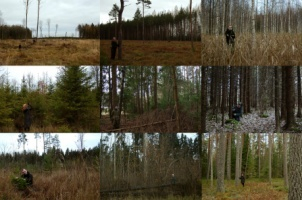 Looduskaitsebioloogia töörühm meenutab lõppevat aastat metsateemalise pildiseeriaga, kus meie inimesed tutvustavad tänavu poleemikat tekitanud erimeelsusi selle üle, mis on ikkagi mets.