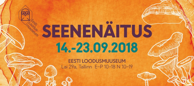 seenenäitus