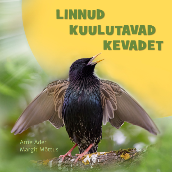 Новая книга: «Птицы – глашатае весны»