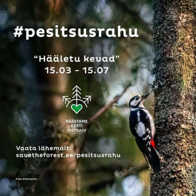 MTÜ Päästame Eesti Metsad (PEM) algatas neli kuud kestva kampaania, mis keskendub pesitsusrahu seadustamisele sest inimene on oma majandustegevuse käigus jätnud liiga vähe ruumi teistele liikidele.