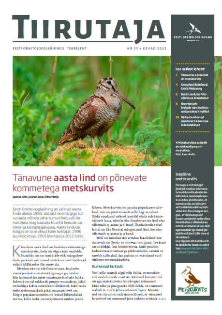 Eesti Ornitoloogiaühingu teabelehe Tiirutaja kevadnumbri kaanelugu on aasta linnust – põnevate kommetega metskurvitsast.
