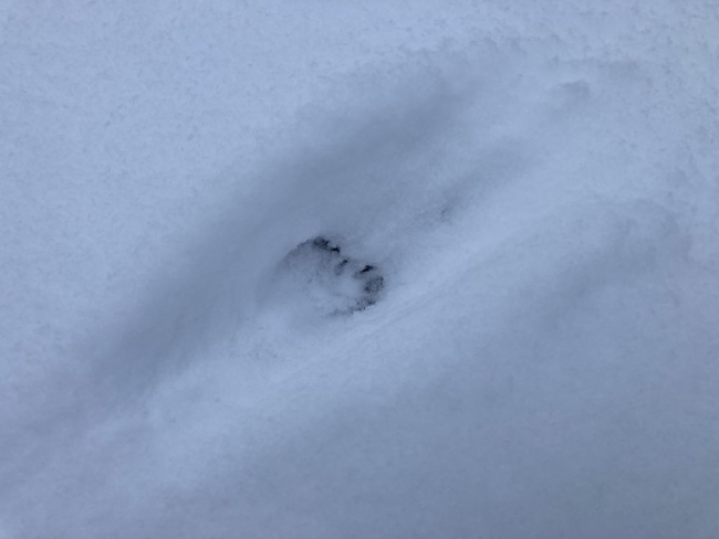 Mingi jalajälg
