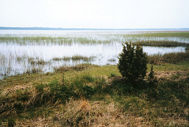 Mullutu-Suurlaht.