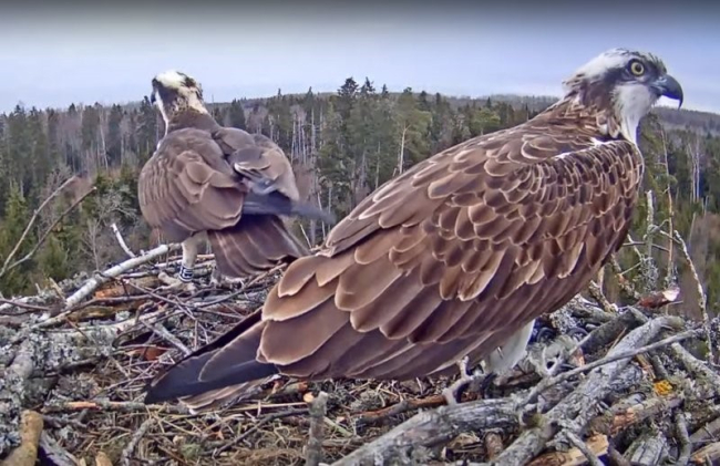 Möödunud aasta ülesvõte