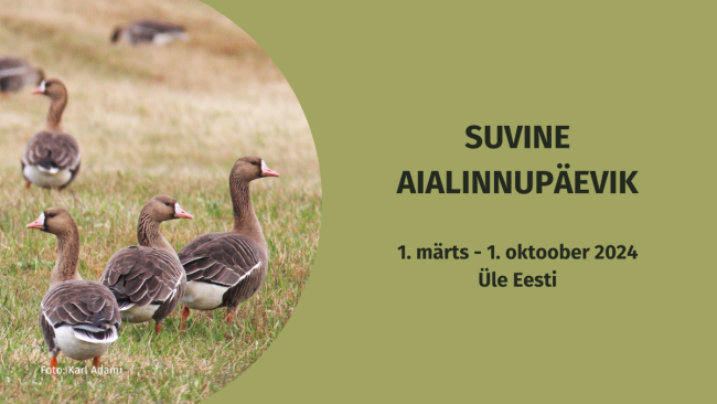 Aialinnupäevik