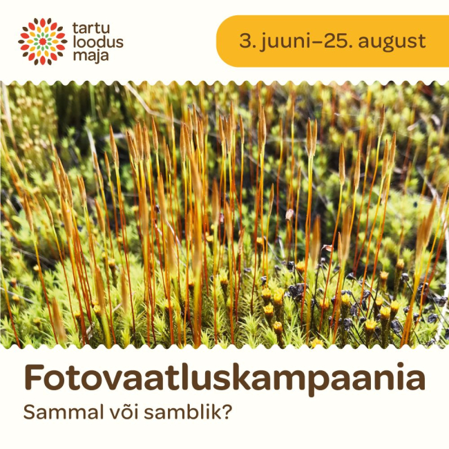 Tartu loodusmaja kutsub sel suvel kaasa lööma fotovaatluskampaanias “Sammal või samblik”!