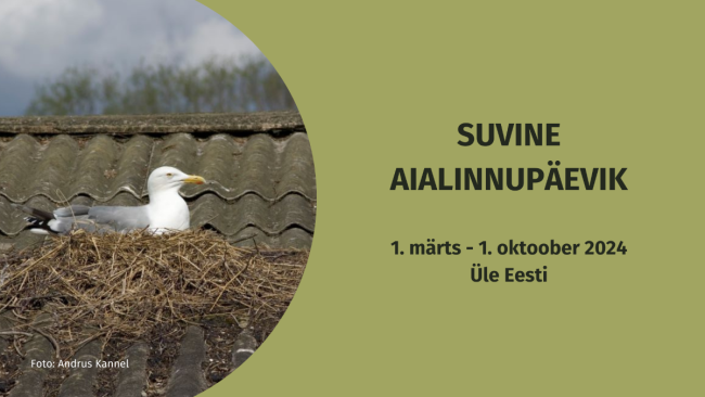 suvine aialinnupäevik