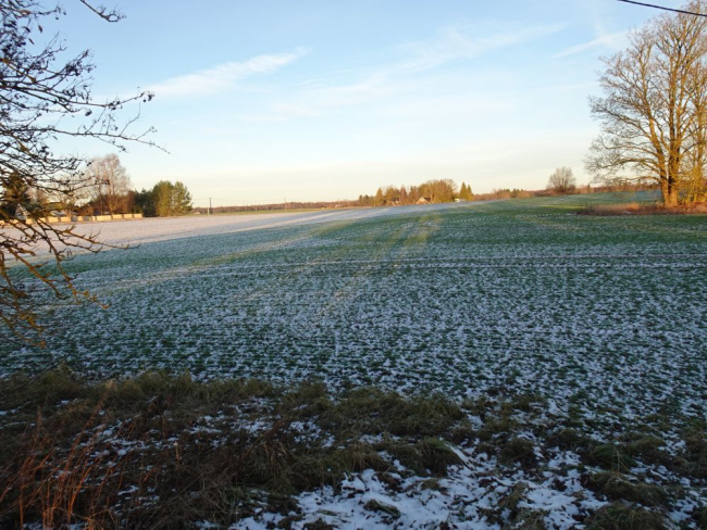 Taliteraviljapõld kolmapäeval