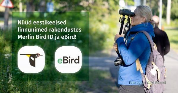Nüüd saate Cornelli Ülikooli arendatud tasuta rakendustes Merlin Bird ID ja eBird kasutada eestikeelseid linnunimesid.