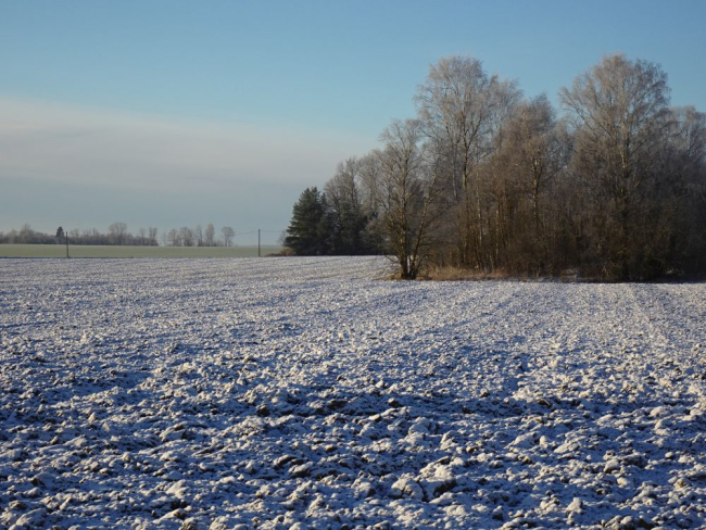 Päikseline kolmapäev õhukese lumikattega ja nõrga härmatisega