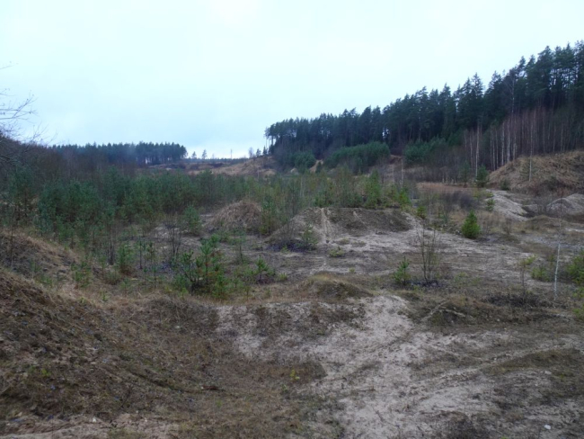 Metsastuv karjäär Siimustis