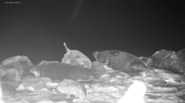 Kaamerapilt öösel.