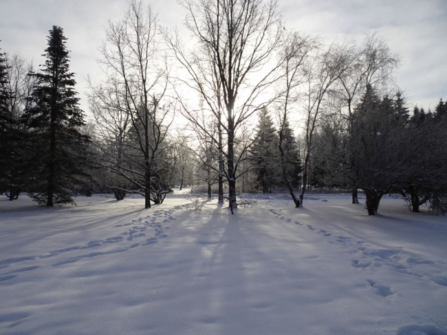 Piiri park kolmapäeval