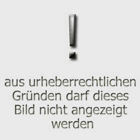File:! Aus urheberrechtlichen Gründen darf dieses Bild nicht angezeigt werden.jpg