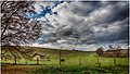 Autumn (180375851).jpeg