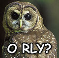 O RLY.jpg