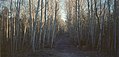 Autumn (8185944936).jpg