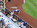 Asdrubal Cabrera hurt on July 31, 2016.jpg