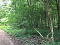 Aubinger Lohe 5619.jpg